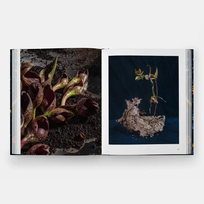 Emily Thompson Flowers