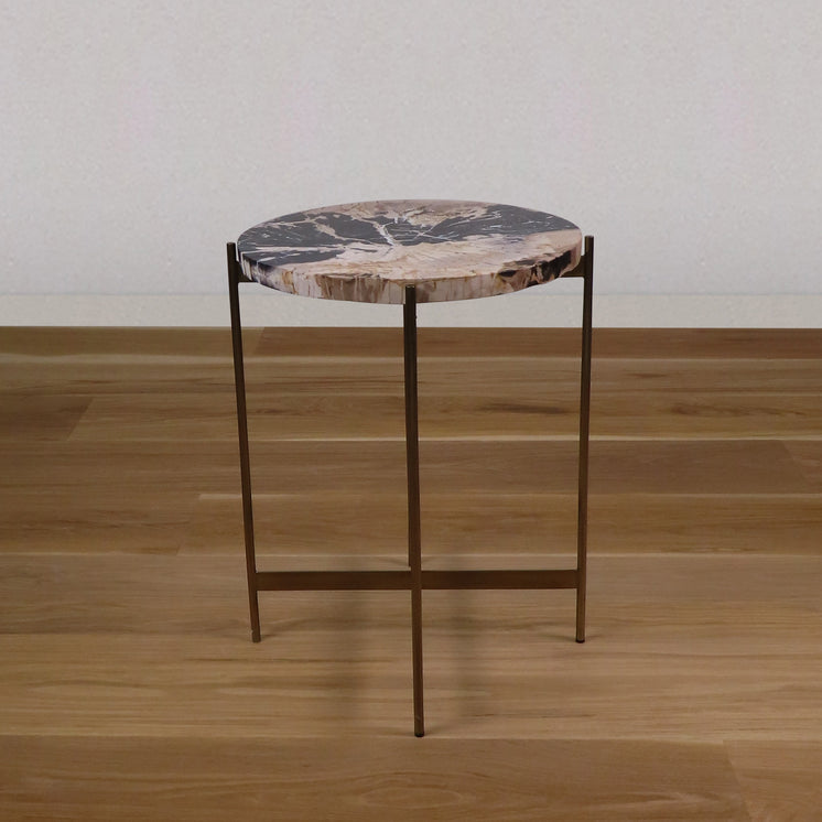 Kanji Petrified Wood Side Table