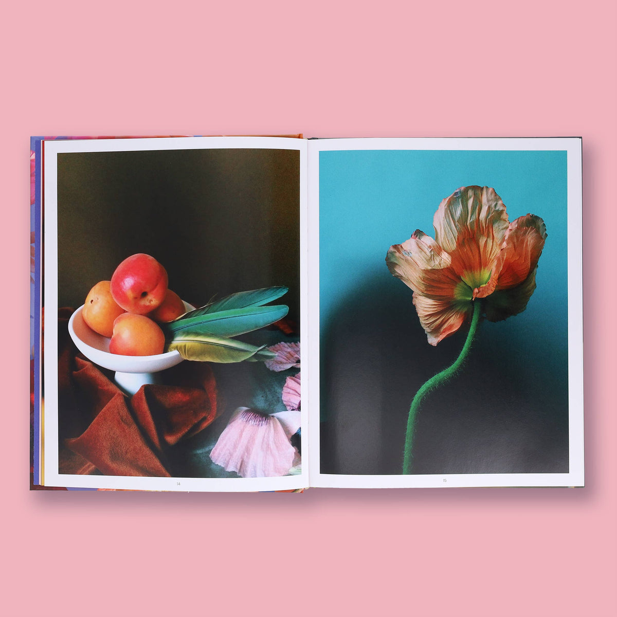 Still Life