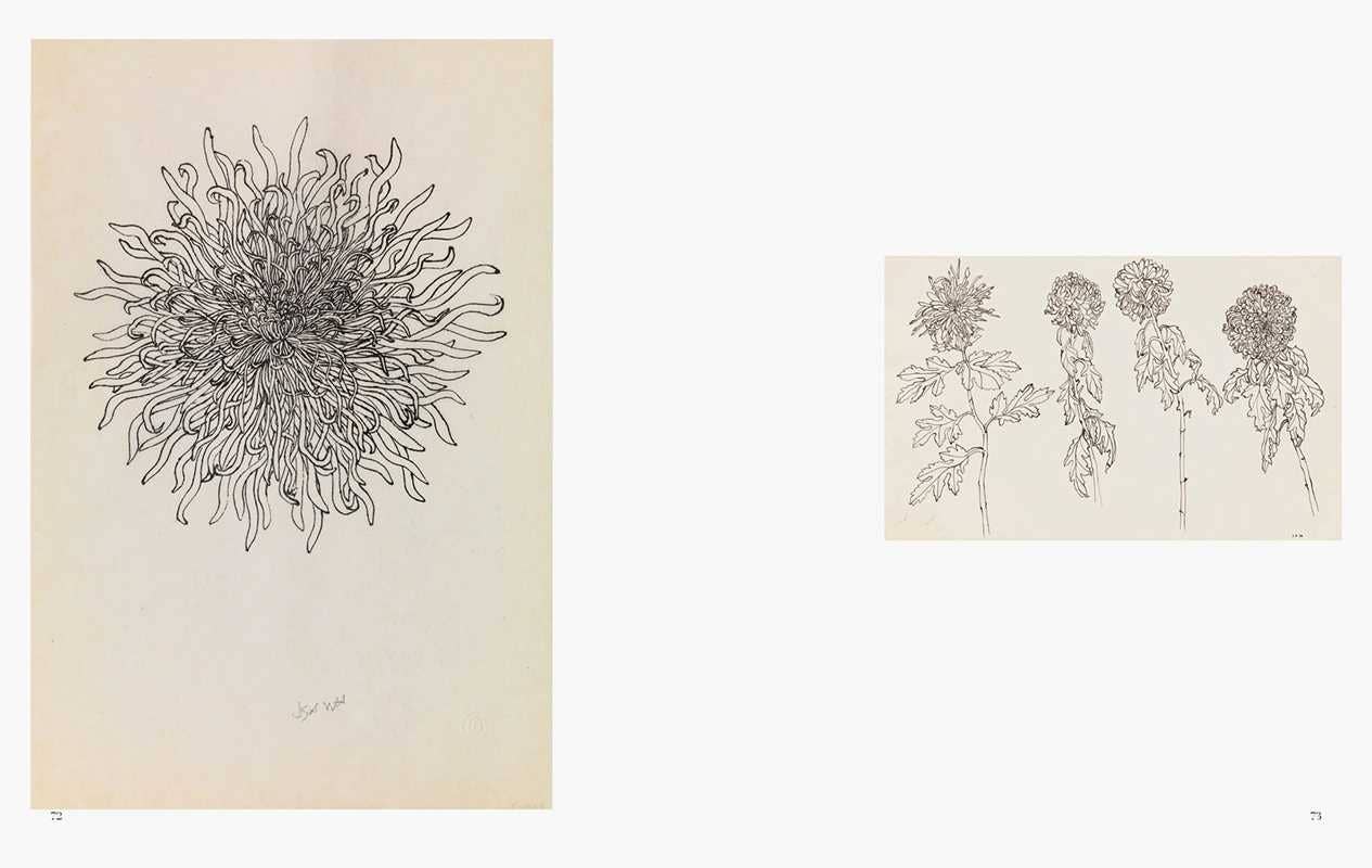 Ruth Asawa: All Is Possible by Ruth Asawa: Hardcover; 192 pages / English