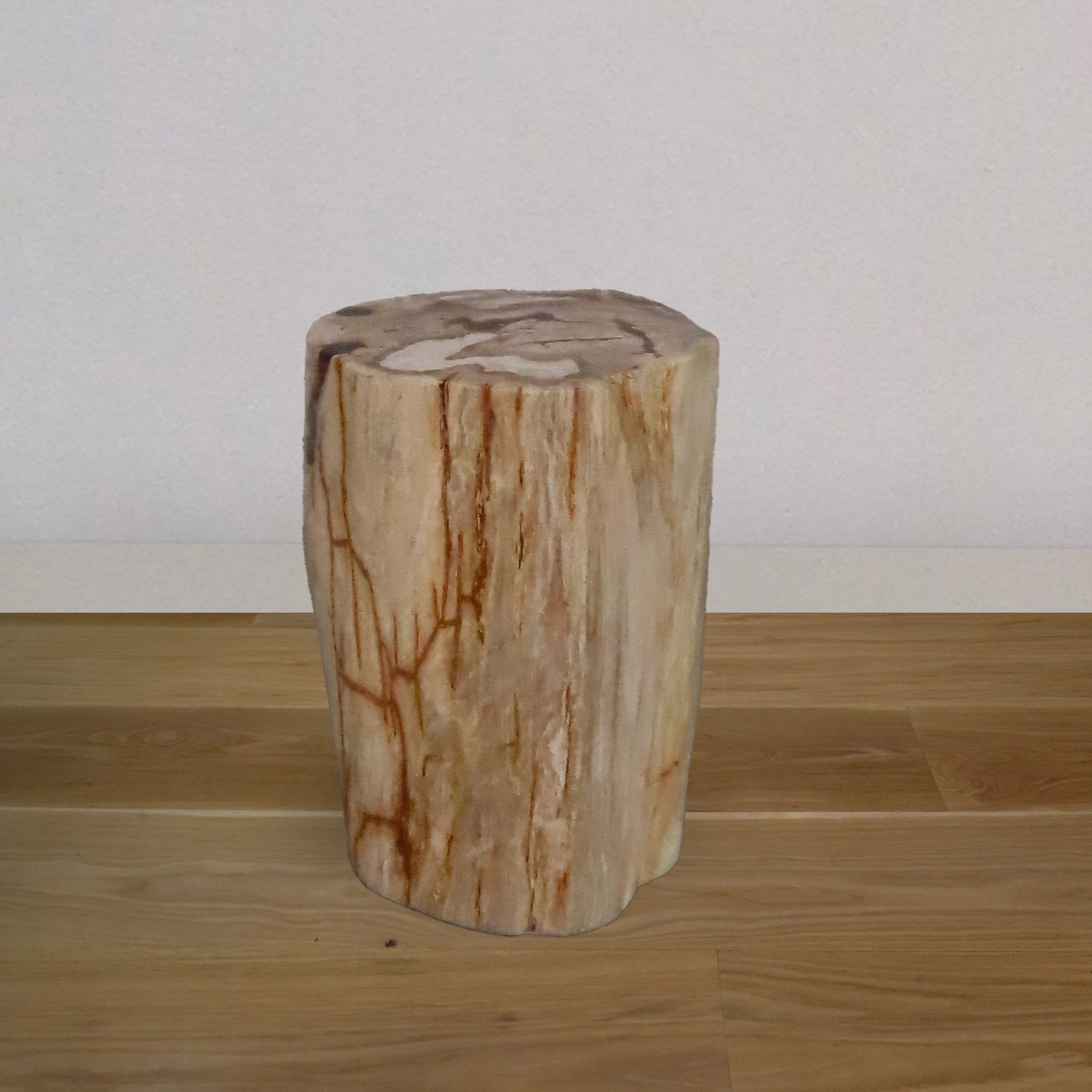 Petrified Wood Accent Table