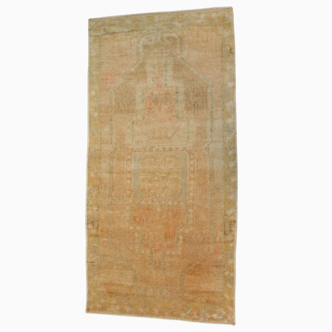 Isidore Rug 3'1" x 1'9"