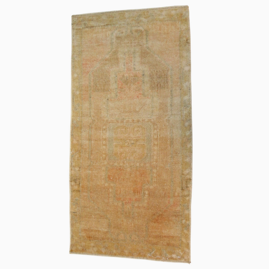 Isidore Rug 3'1" x 1'9"