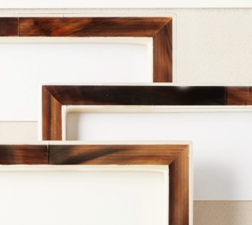 Horn & Bone Picture Frames