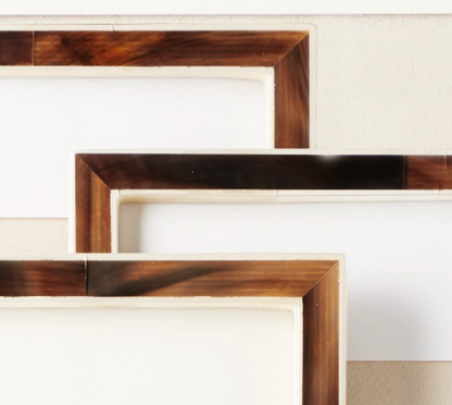 Horn & Bone Picture Frames