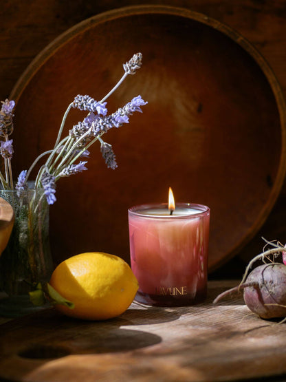 N˚12  Siena Candle | Bright Bergamot and Aged Tobacco