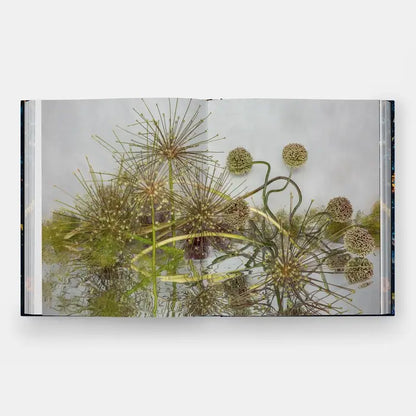 Emily Thompson Flowers