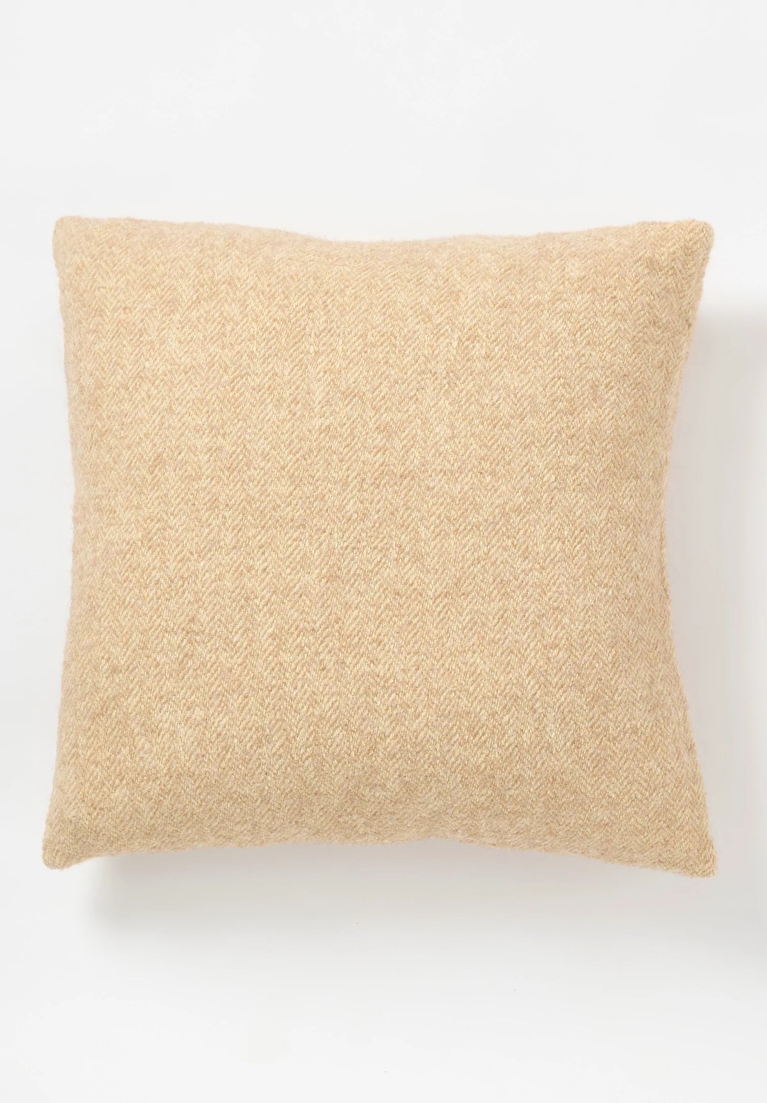 Parrish Pillow
